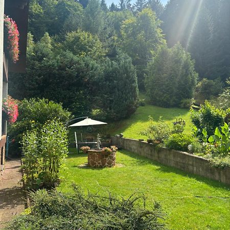 Pension Ernst Im Herzen Des Pfaelzerwaldes Mit Kueche Hotell Elmstein Eksteriør bilde