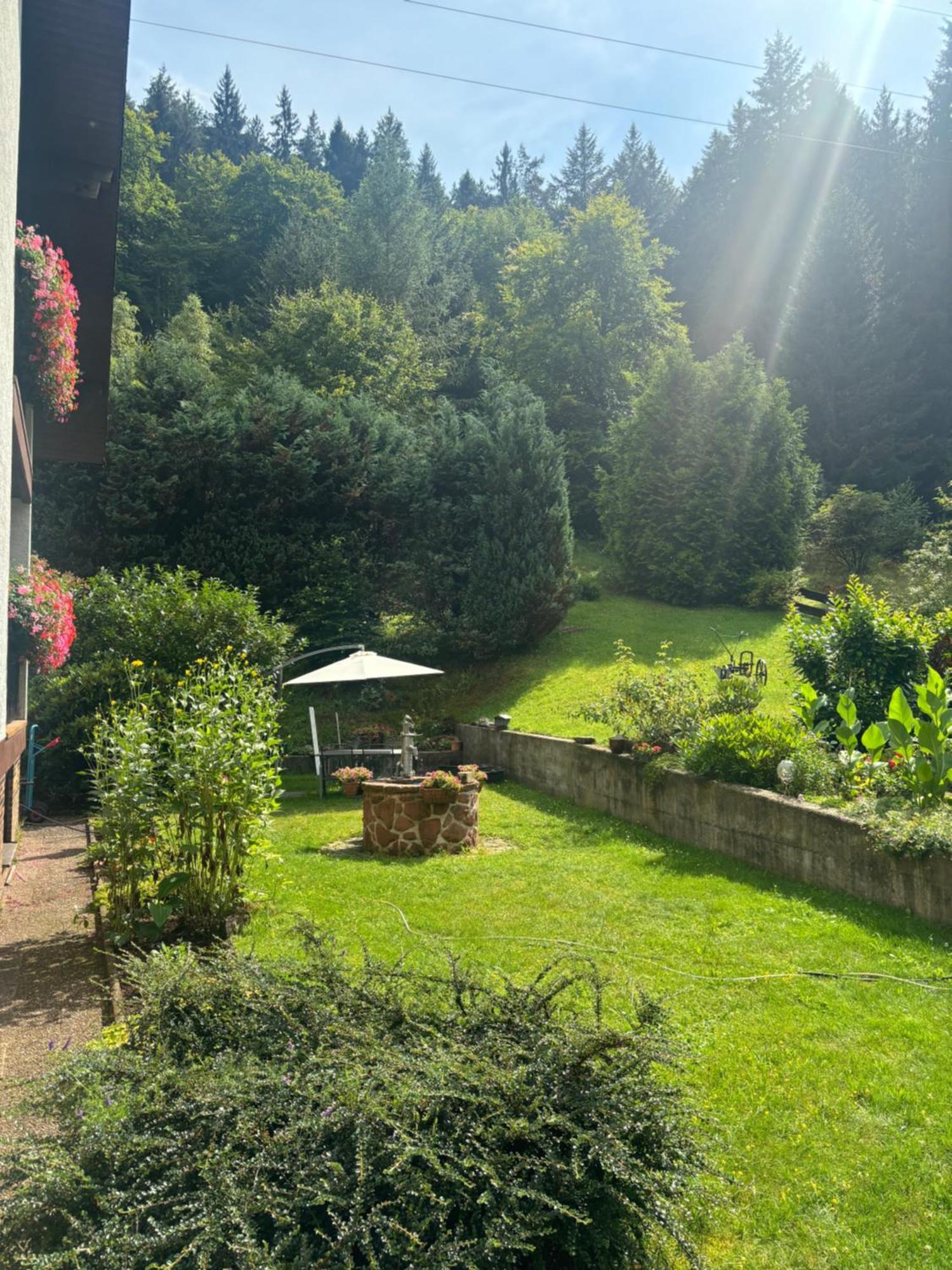 Pension Ernst Im Herzen Des Pfaelzerwaldes Mit Kueche Hotell Elmstein Eksteriør bilde