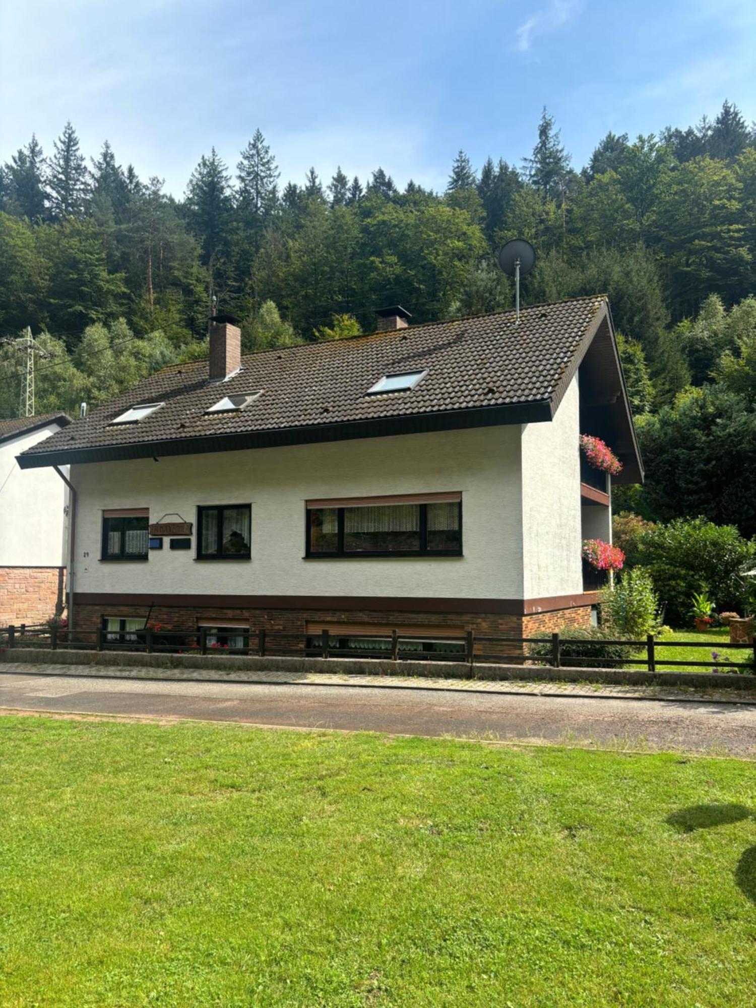 Pension Ernst Im Herzen Des Pfaelzerwaldes Mit Kueche Hotell Elmstein Eksteriør bilde